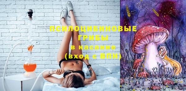 прущая мука Инта